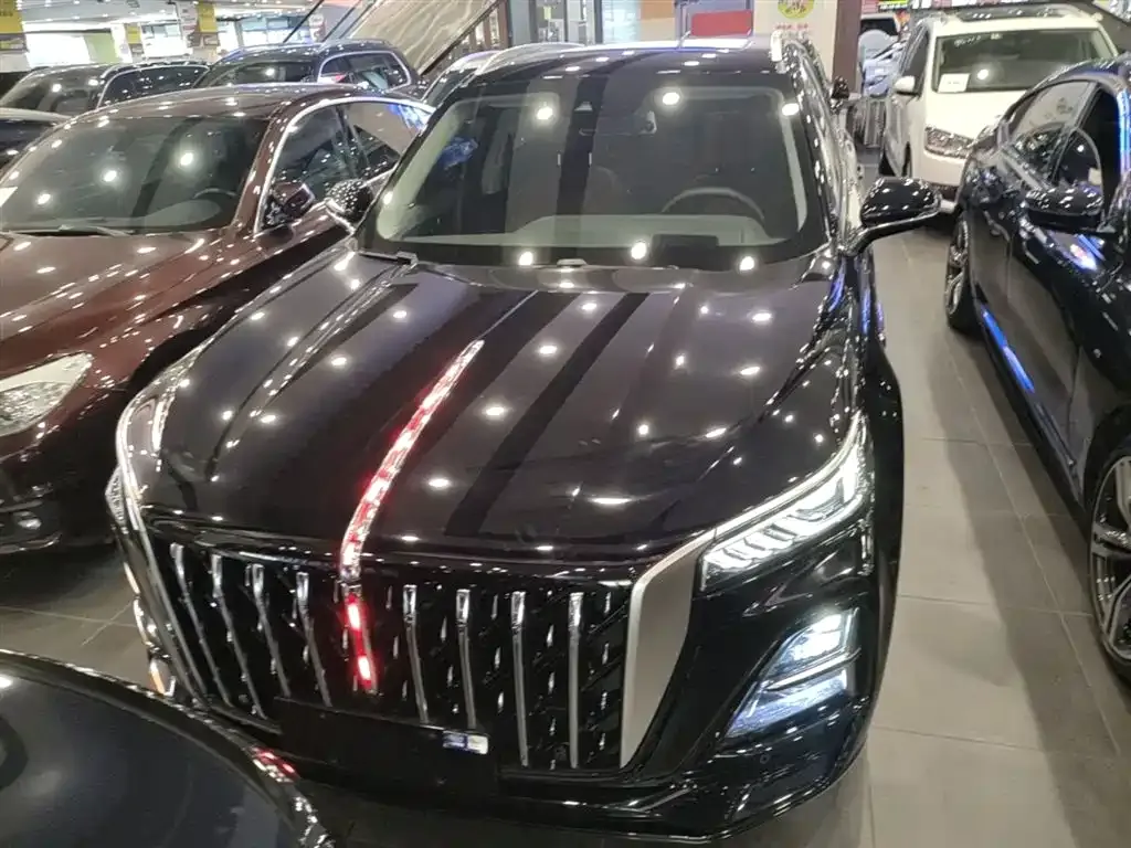 Hongqi HS5 2023 из CN, фото 3