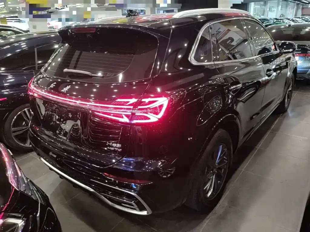 Hongqi HS5 2023 из CN, фото 10