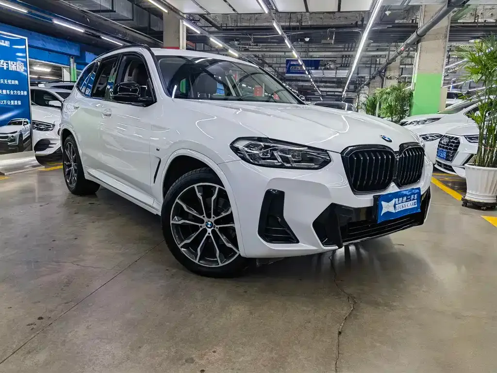 BMW X3 2022 из CN, фото 4