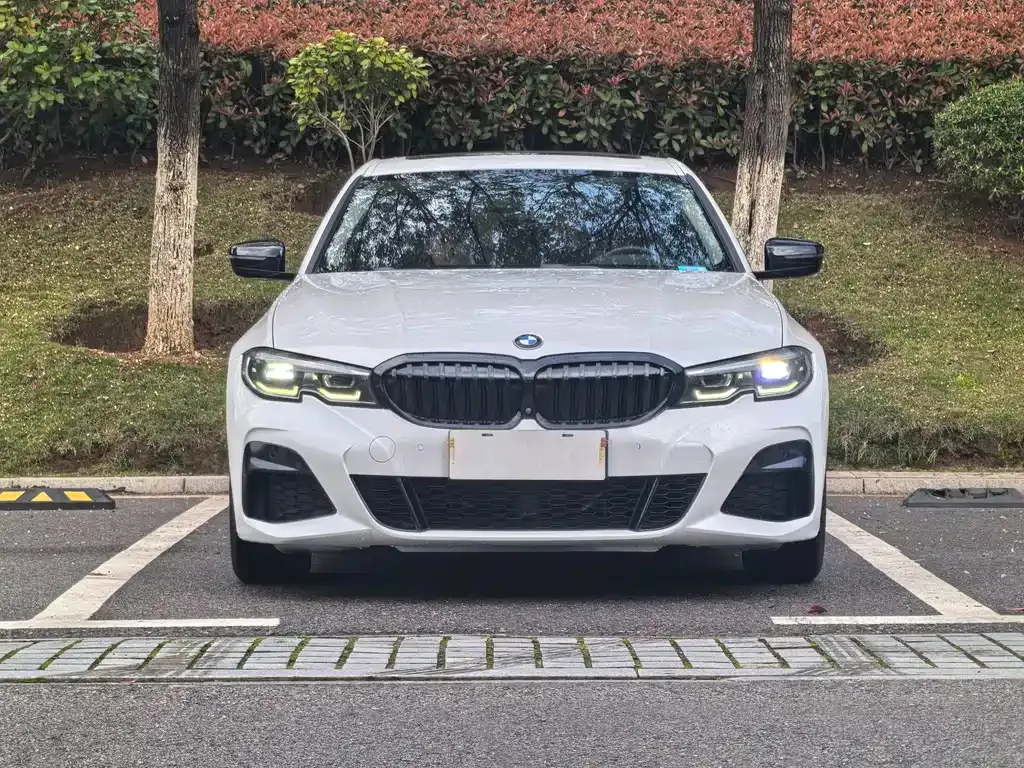 BMW 3 Series 2021 из CN, фото 10
