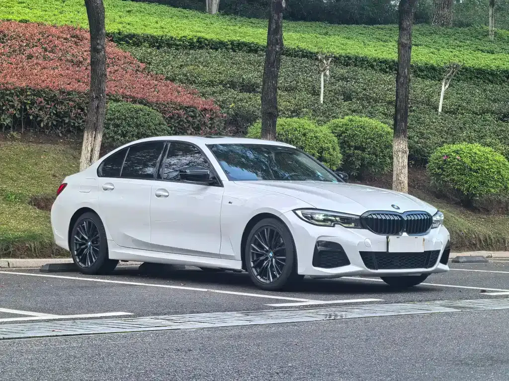 BMW 3 Series 2021 из CN, фото 9