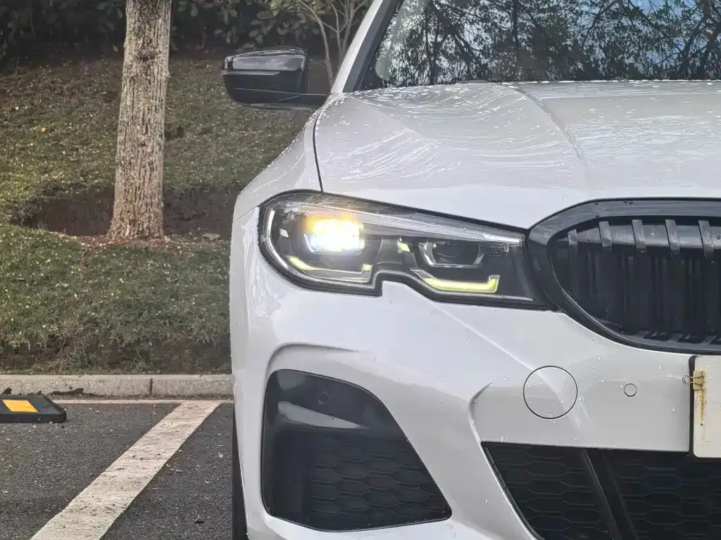 BMW 3 Series 2021 из CN, фото 6