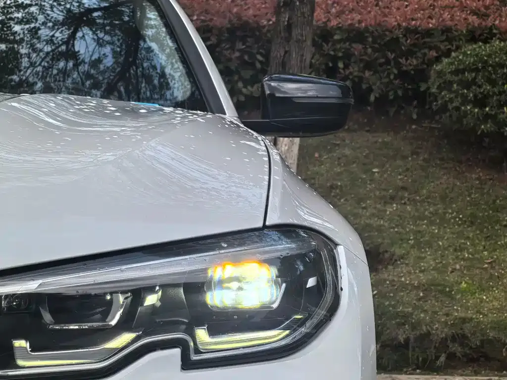 BMW 3 Series 2021 из CN, фото 5