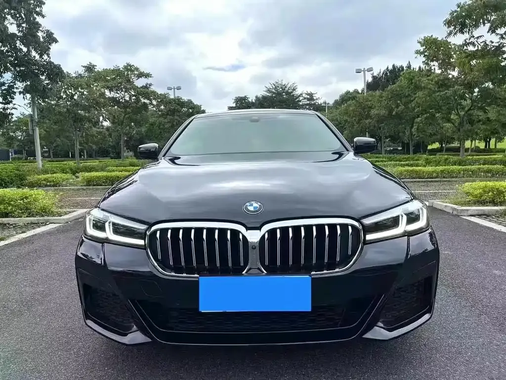 BMW 5 Series 2021 из CN, фото 9
