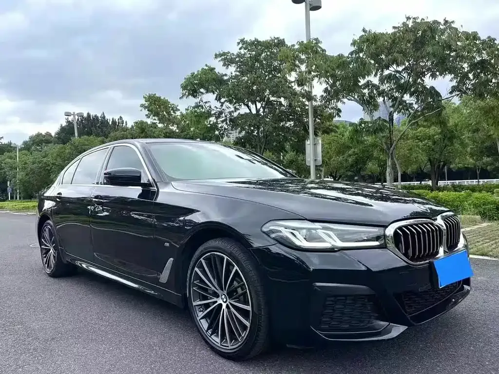 BMW 5 Series 2021 из CN, фото 8
