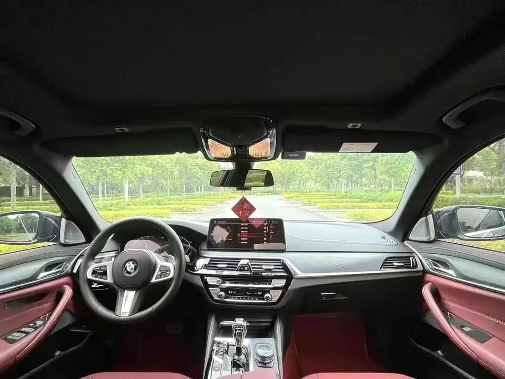 BMW 5 Series 2021 из CN, фото 5