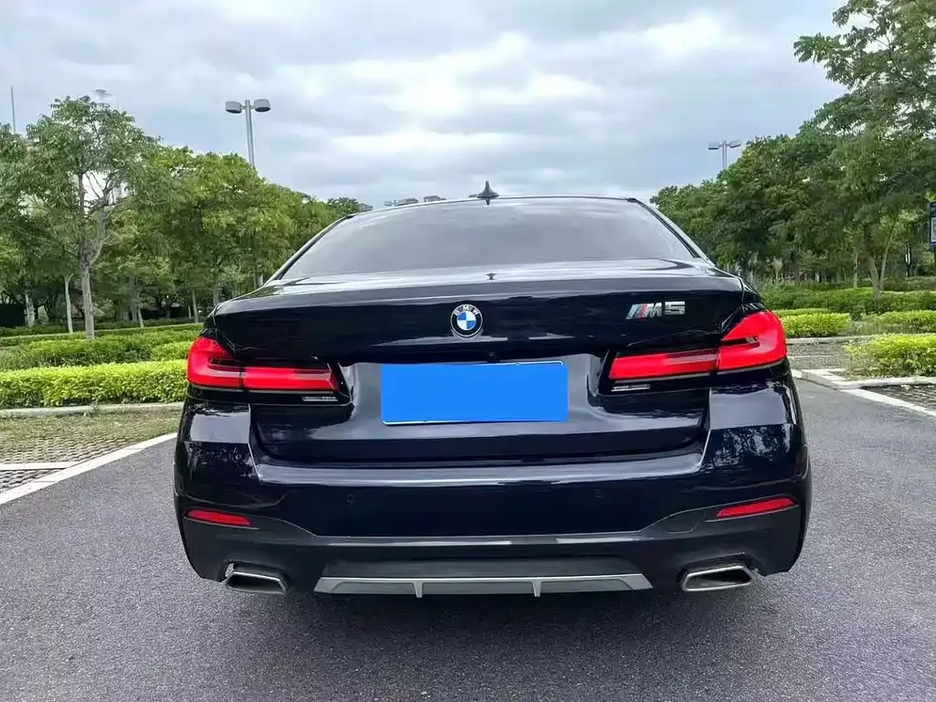 BMW 5 Series 2021 из CN, фото 6
