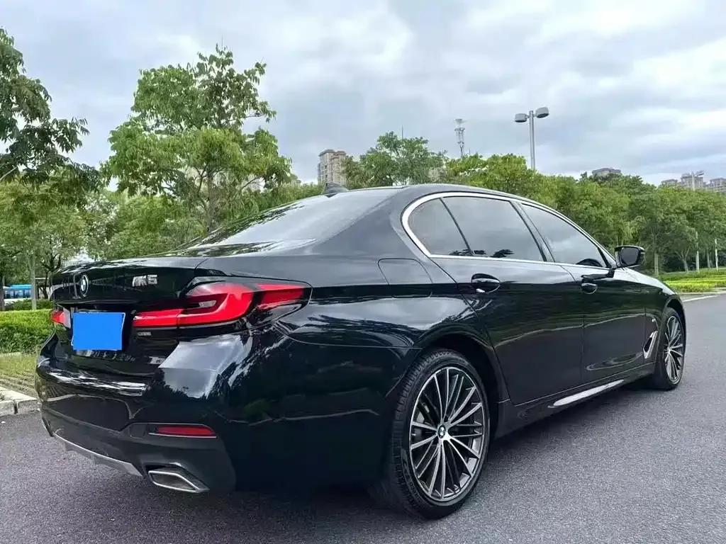 BMW 5 Series 2021 из CN, фото 3