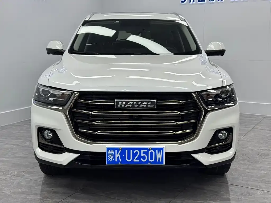 Haval H6 2022 из CN, фото 4