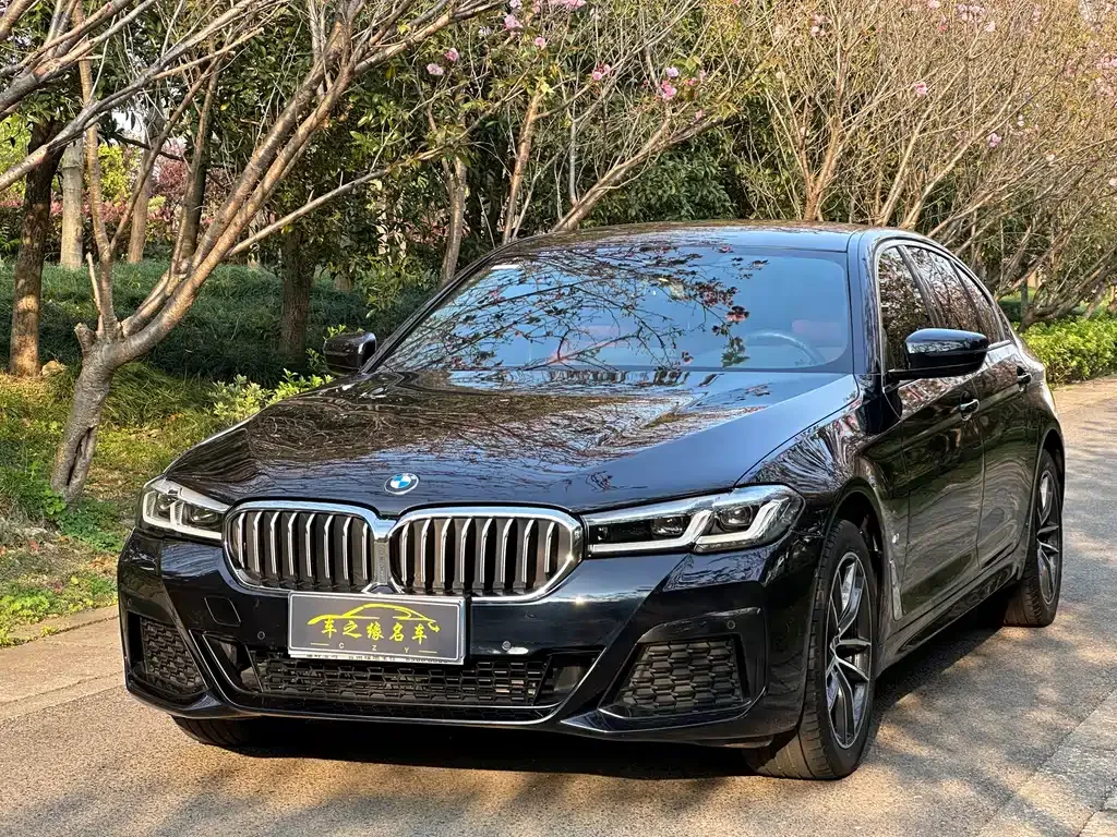BMW 5 Series — фото 1