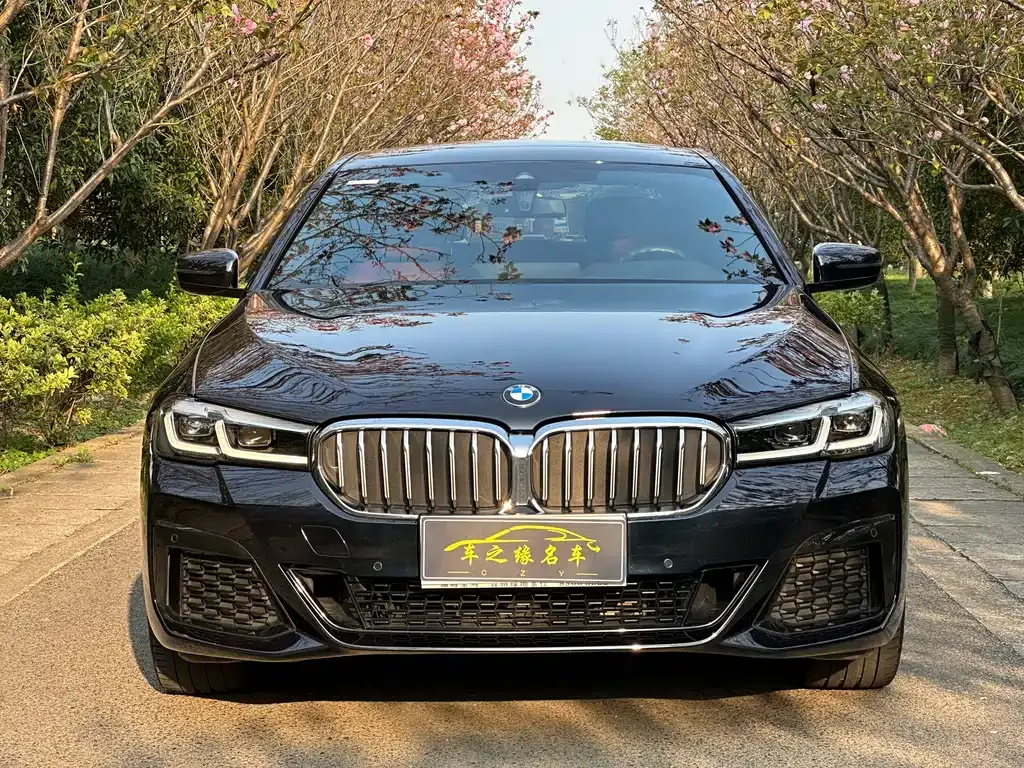 BMW 5 Series — фото 10
