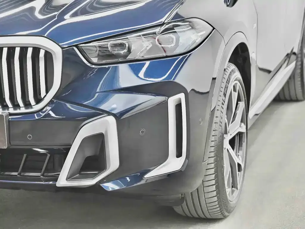 BMW X5 — фото 8
