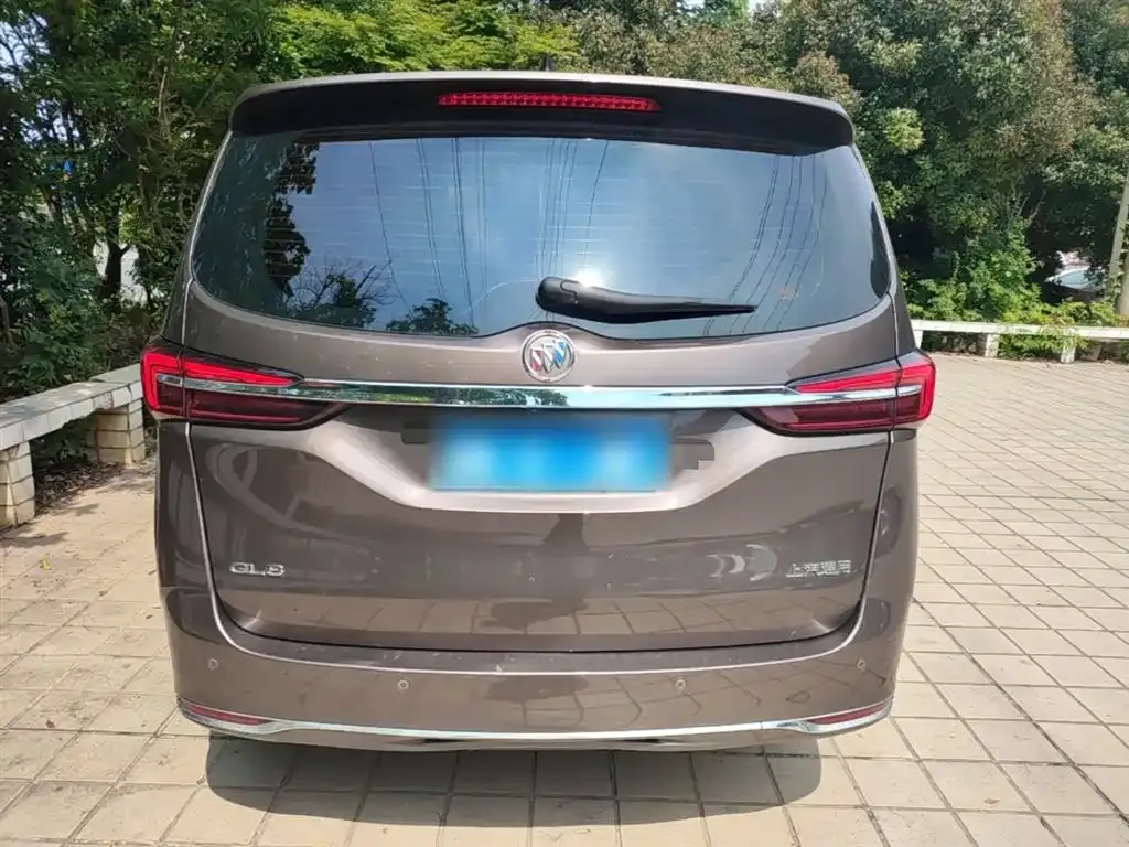 Buick GL8 2024 из CN, фото 6