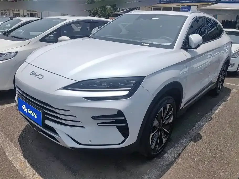 BYD PLUS New Energy — фото 1