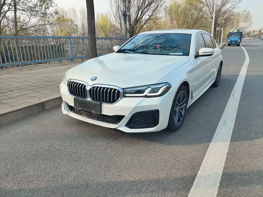 BMW 5 Series 2021 из CN, фото 1