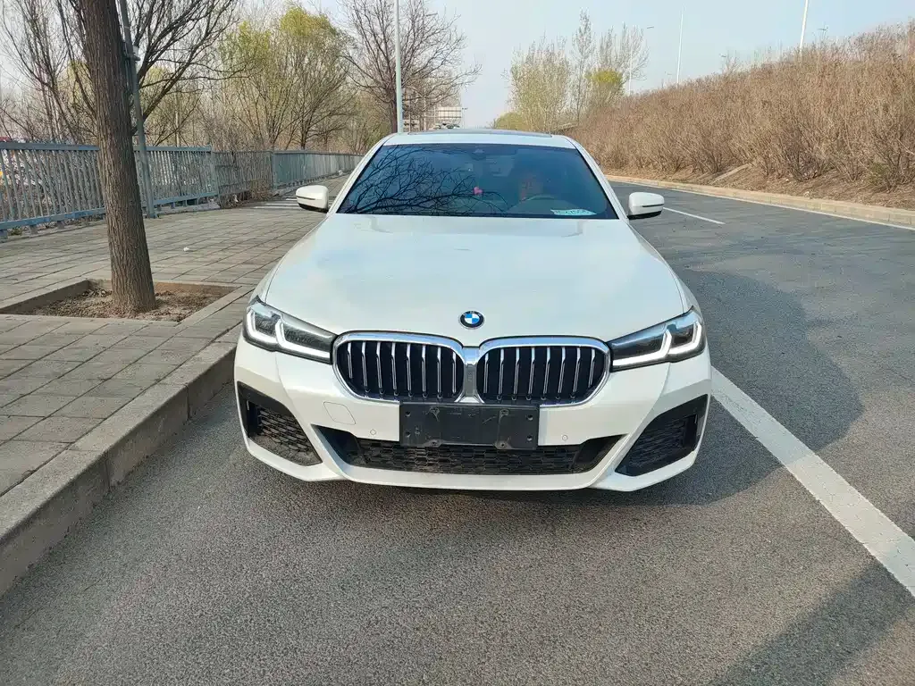 BMW 5 Series 2021 из CN, фото 5
