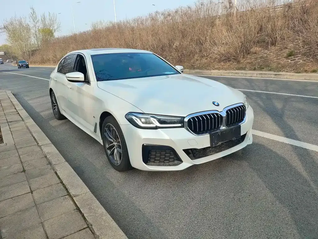 BMW 5 Series 2021 из CN, фото 7