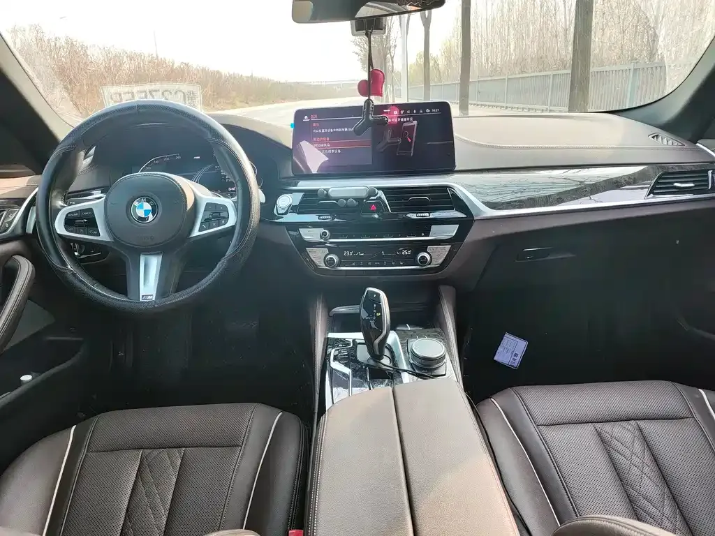 BMW 5 Series 2021 из CN, фото 9