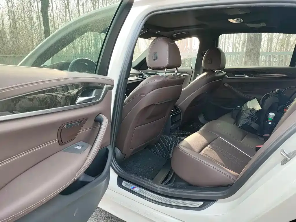 BMW 5 Series 2021 из CN, фото 4