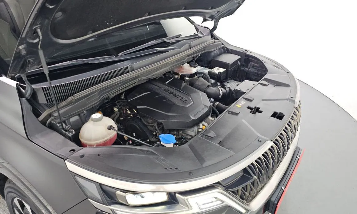 Kia Carnival — фото 10