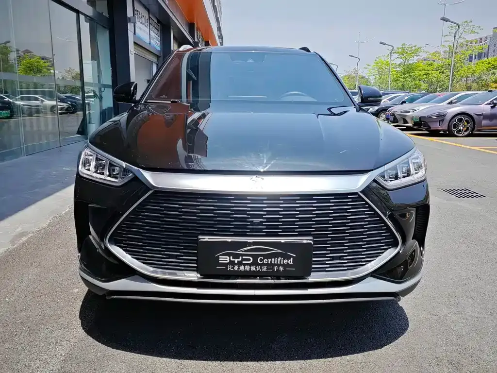 BYD PLUS New Energy 2023 из CN, фото 1