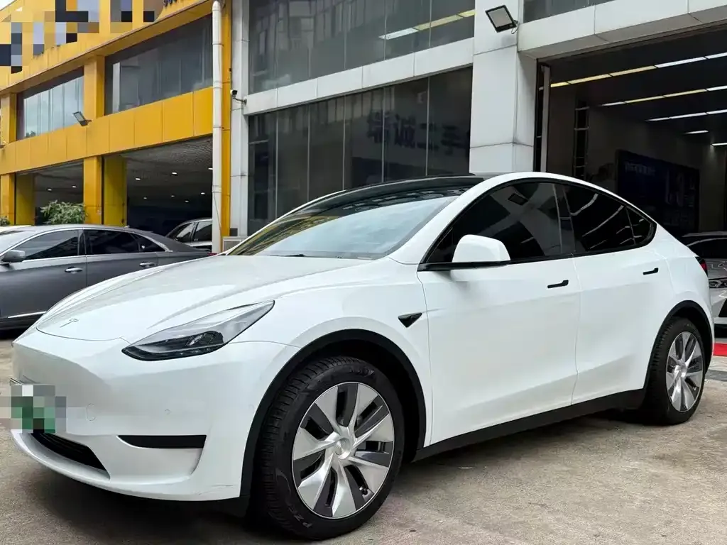 Tesla Model Y — фото 1