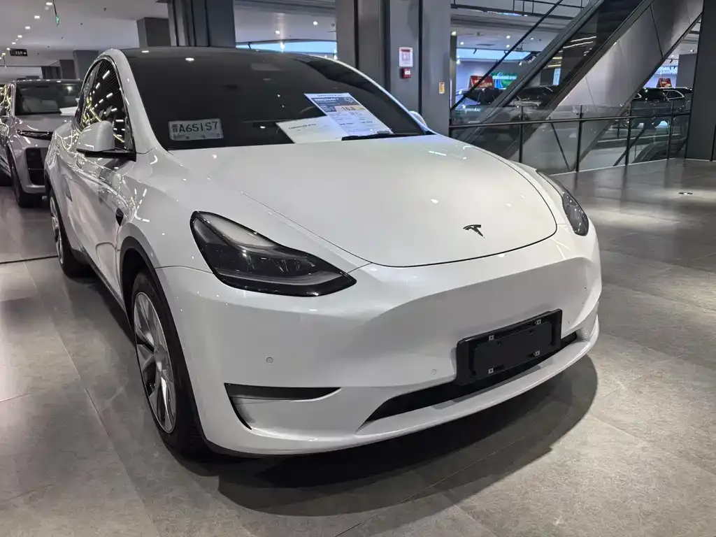 Tesla Model Y — фото 1