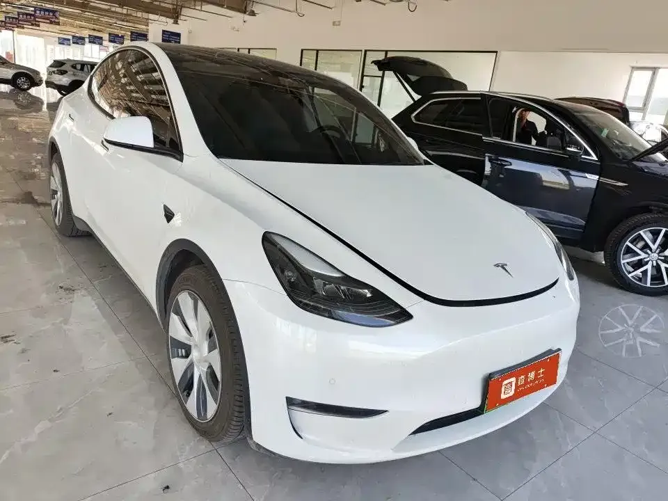 Tesla Model Y — фото 9