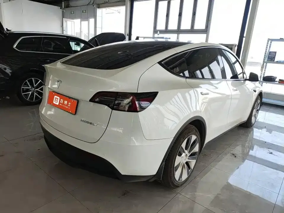 Tesla Model Y — фото 10