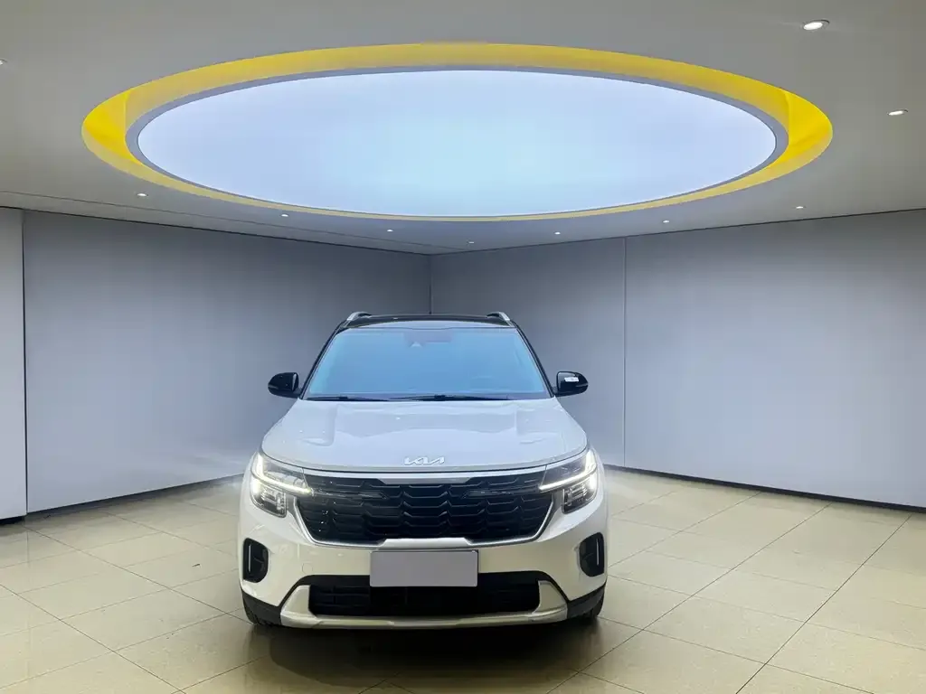 Kia Seltos 2023 из CN, фото 8