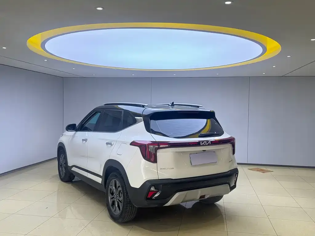 Kia Seltos 2023 из CN, фото 9