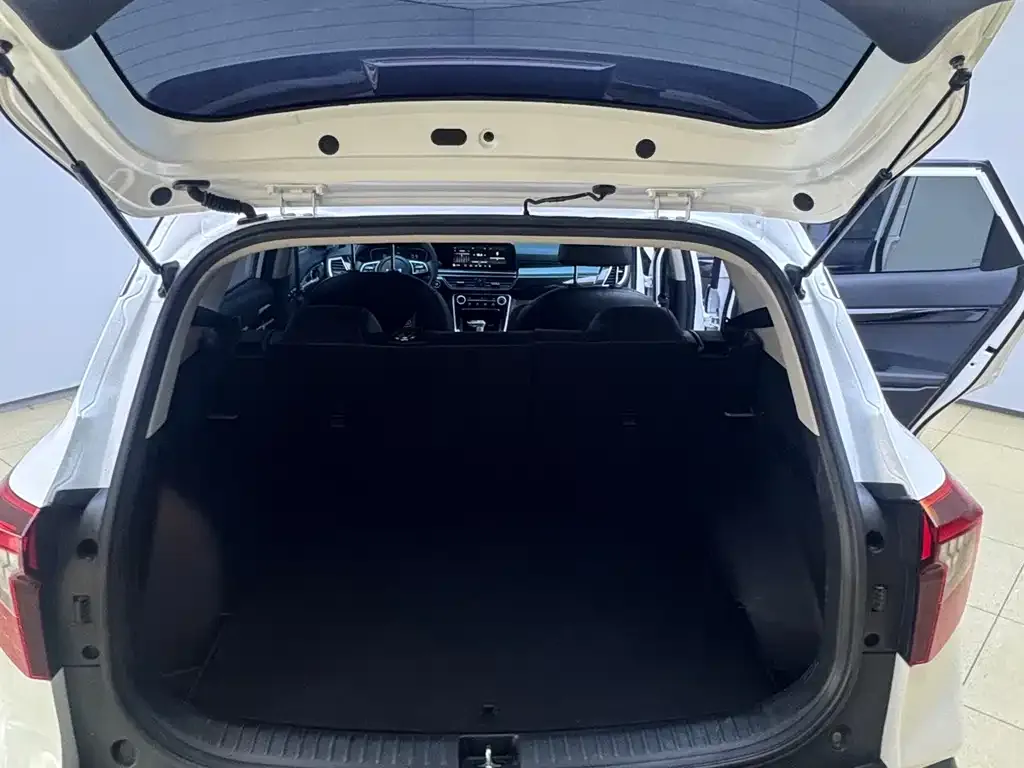 Kia Seltos 2023 из CN, фото 4