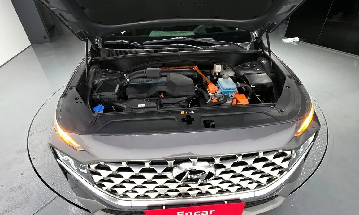Hyundai Santafe 2022 из KR, фото 9