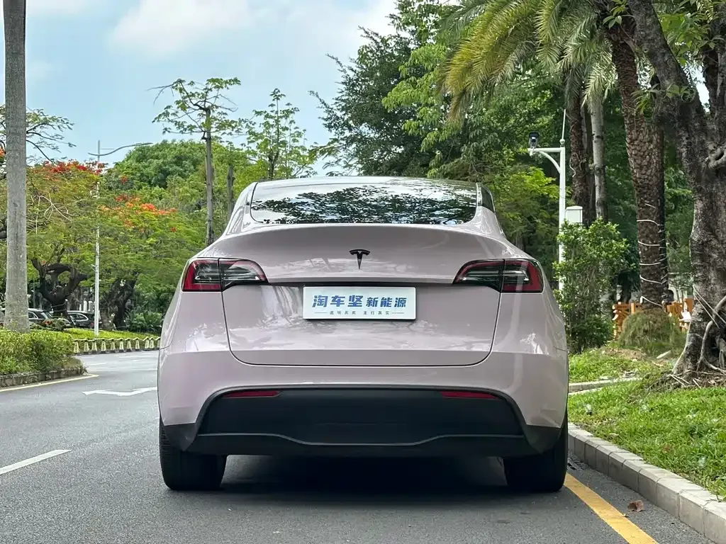 Tesla Model Y — фото 10
