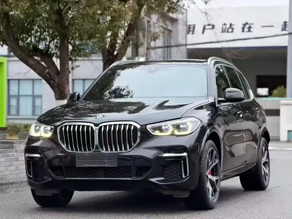 BMW X5 2023 из CN, фото 1