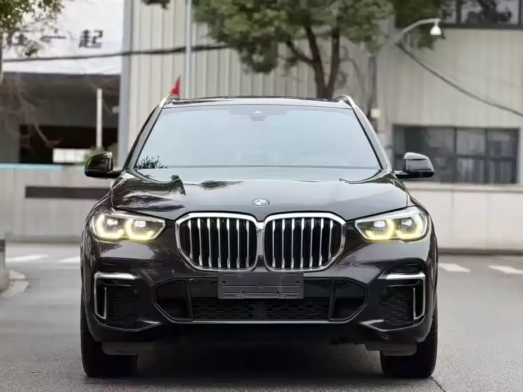 BMW X5 2023 из CN, фото 9