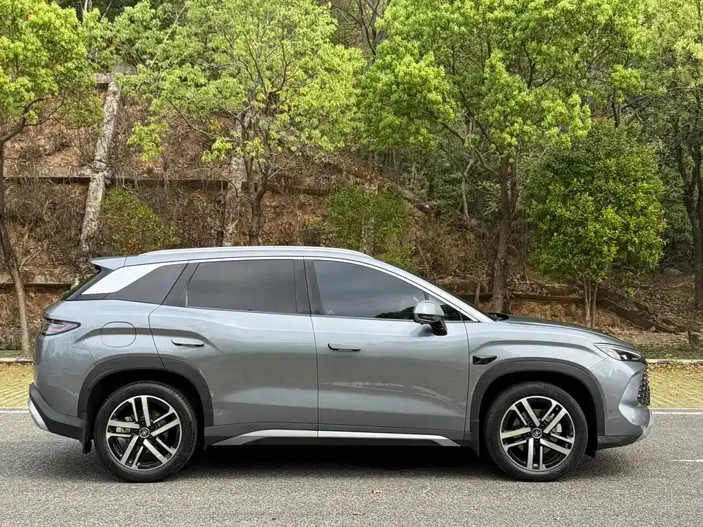 BYD L DM-i — фото 6