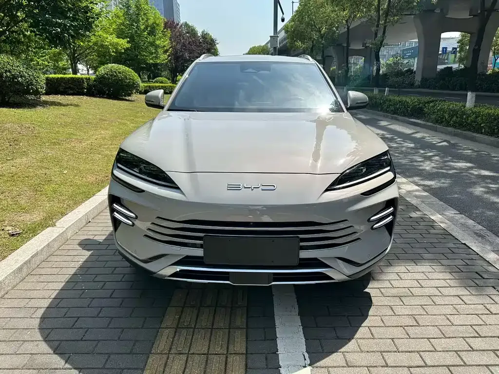 BYD PLUS New Energy — фото 6