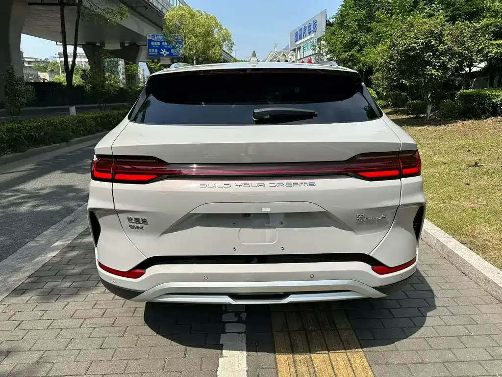 BYD PLUS New Energy — фото 4