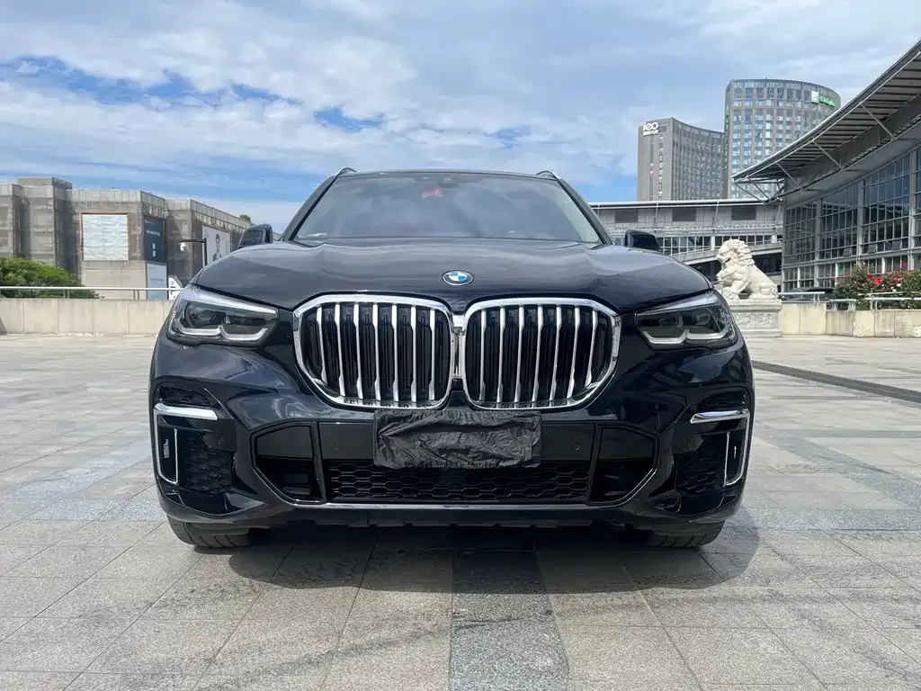 BMW X5 2022 из CN, фото 4
