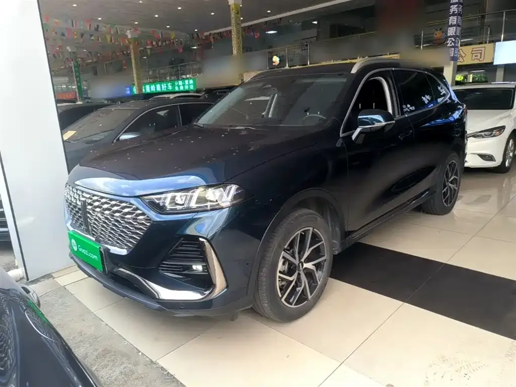 Wey Latte DHT-PHEV 2022 из CN, фото 7