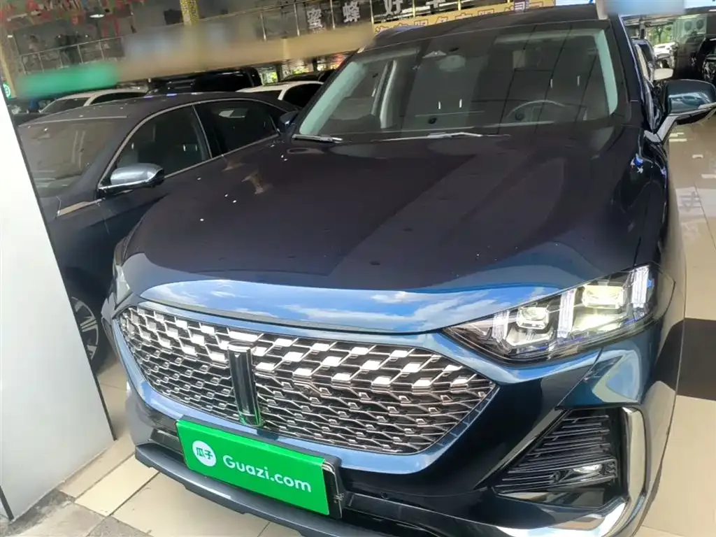Wey Latte DHT-PHEV 2022 из CN, фото 10