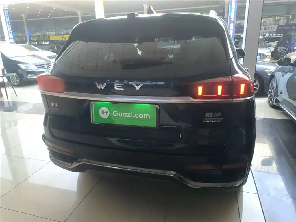 Wey Latte DHT-PHEV 2022 из CN, фото 6