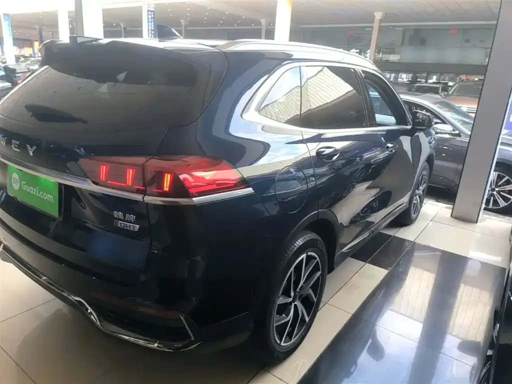 Wey Latte DHT-PHEV 2022 из CN, фото 8