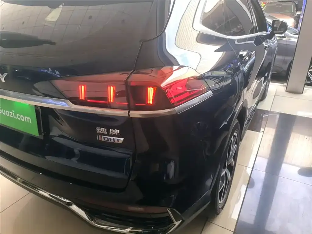 Wey Latte DHT-PHEV 2022 из CN, фото 4