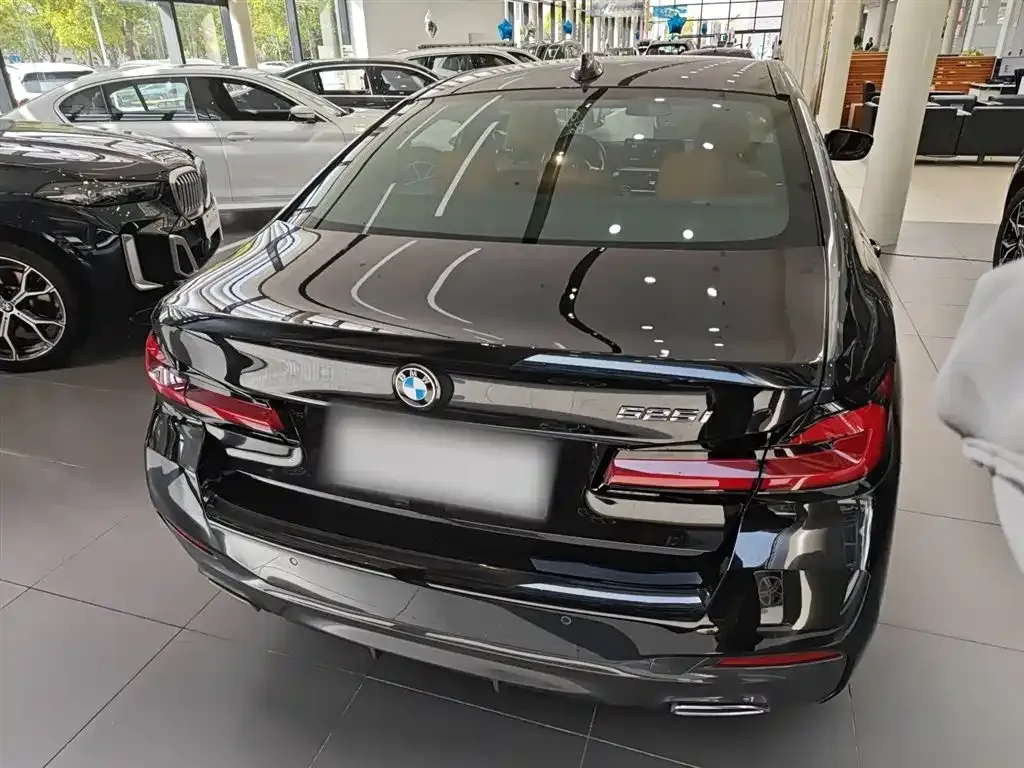 BMW 5 Series (Import) 2023 из CN, фото 9