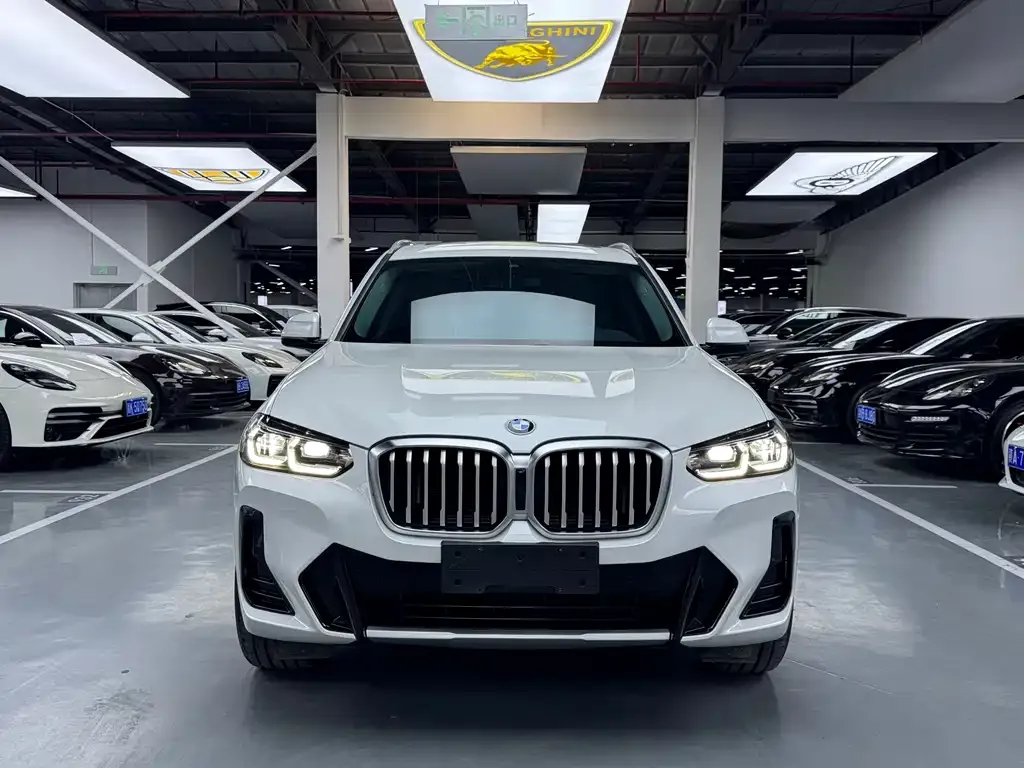 BMW X3 2022 из CN, фото 3