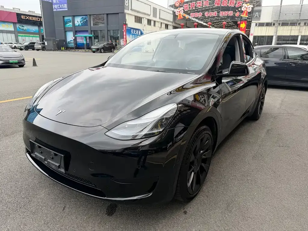 Tesla Model Y 2023 из CN, фото 1