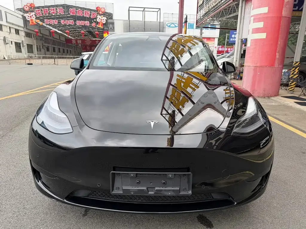 Tesla Model Y 2023 из CN, фото 6