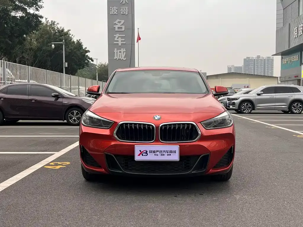BMW X2 2021 из CN, фото 3
